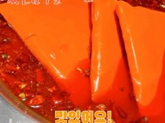 -蜀九香火锅(彩虹店)