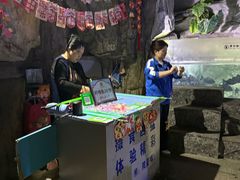 -泉城欧乐堡海洋极地世界