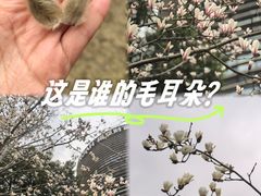 -诺亚财富中心