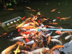 iphone_upload_pic-平乐古镇