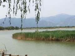 -野鸭湖国家湿地公园