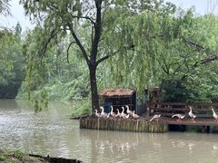 -溱湖国家湿地公园