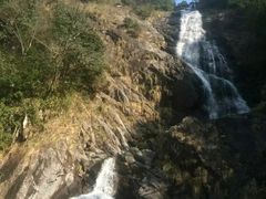 -东天目山风景区