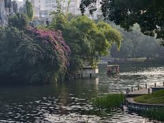 -荔湾湖公园