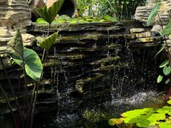 -国家植物园南园