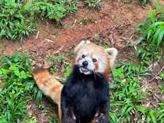 -云南野生动物园