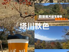 -塔川景区