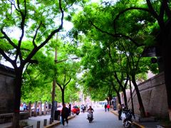 -魏家凉皮(博水商务大厦店)