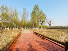 -东郊湿地公园