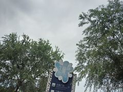 -丁香湖公园
