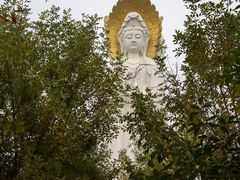 -白洋淀景区