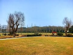 -宜兴龙背山森林公园