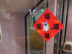 -联合动物医院(光谷诊疗中心)