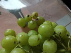 -鲜力达果品批发直销(青山店)