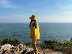 -广东惠东海龟国家级自然保护区