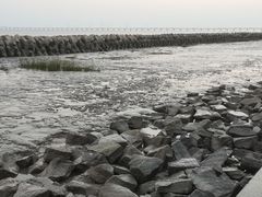 -南汇新城海滩