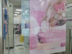 -北京观赏动物医院·24小时大型综合·猫专科·异宠专科