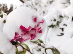 -北京园博大酒店