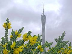 -海心沙亚运公园