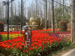 -东平国家森林公园