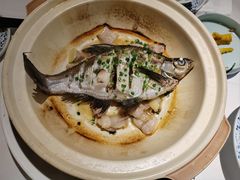 油盐焗桂花鱼-围龙屋客家食府(福田店)