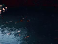 -杨梅坑