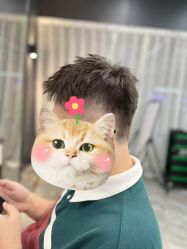 -藤野造型