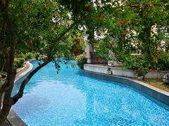 -上海东方佘山翰悦阁酒店·Vie全日制餐厅