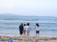 -杨梅坑