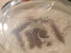 -厝内小眷村(天河南一路店)