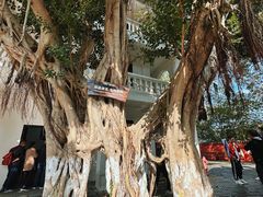 -白帝城·瞿塘峡景区