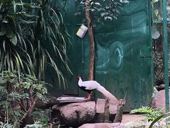 -呀诺达热带雨林