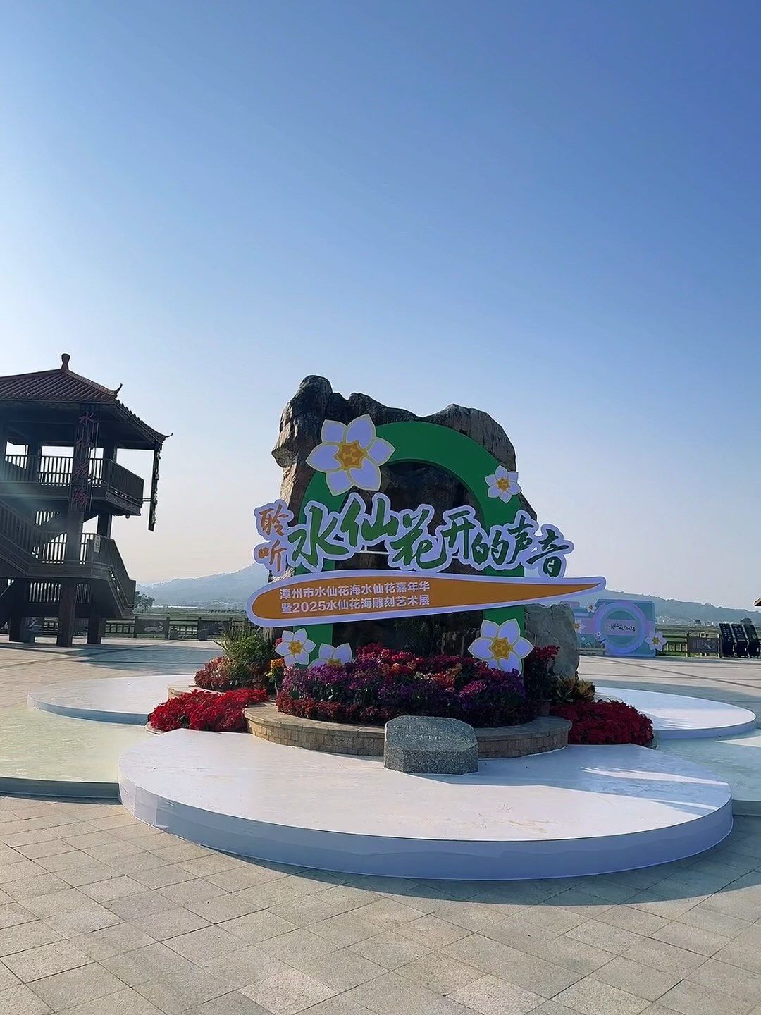 漳州水仙花海又在搞什么大动作啊?