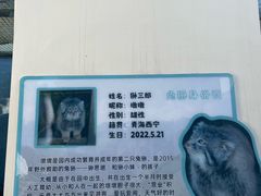 -青藏高原野生动物园