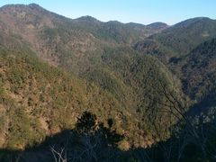 -四明山国家森林公园