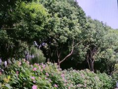 -南山风景名胜区