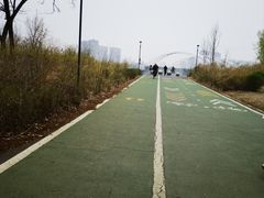 -长白岛森林公园