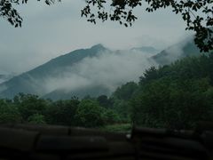 -王顺山国家森林公园