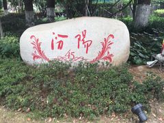 -上海汾阳花园酒店