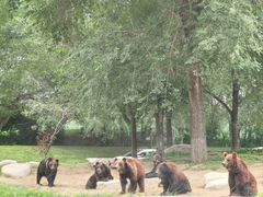 -北京野生动物园