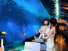 -涛·海底餐厅·美人鱼·自助餐·海底隧道(三亚海棠湾洲际度假酒店)