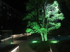 -逸廊大堂吧-下午茶·简餐-千岛湖自由洲际殿