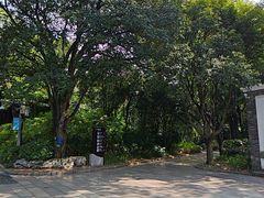 -柳侯公园