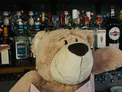 -咖法森林·咖啡  酒吧(天河店)