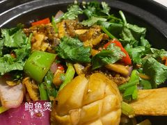 -强记海鲜·大排档(蛇口新街店)