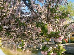 -元大都城垣遗址公园