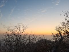 -紫金山山顶公园