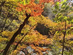 -本溪老边沟风景区