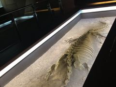 iphone_upload_pic-世界恐龙谷景区