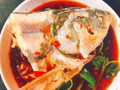 -老杨砂锅鱼庄